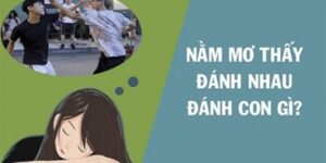 mơ thấy đánh nhau đánh con gì
