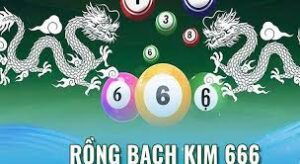 Rồng bạch kim 666