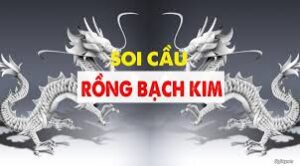 soi cầu rồng bạch kim 999