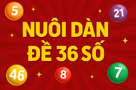 cách nuôi dàn đề 36 số