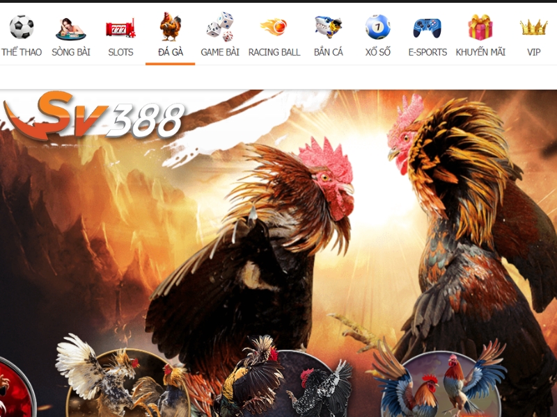 Tổng quan về sân chơi cá cược SV388