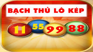 nuôi bạch thủ kép khung 3 ngày